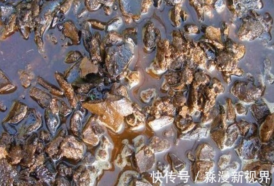 鸡粪肥|如下3种有机肥制作起来特简单、肥力足、无臭味，花儿用了蹭蹭长