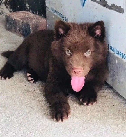 |开心一刻笑话:家里开了个小卖部,老婆负责打理