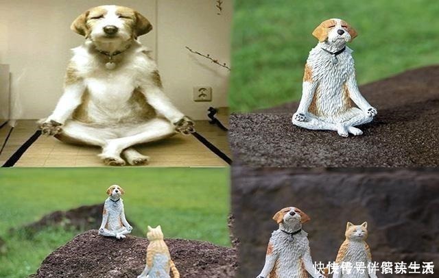 iss给女友照相错位闹笑话,手办师将鸵鸟少女做成手办,女友爱不释手