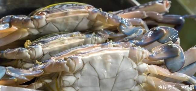 买到|买螃蟹时,学会从2个方面入手来挑选,包你买到的个个膏腴肥美