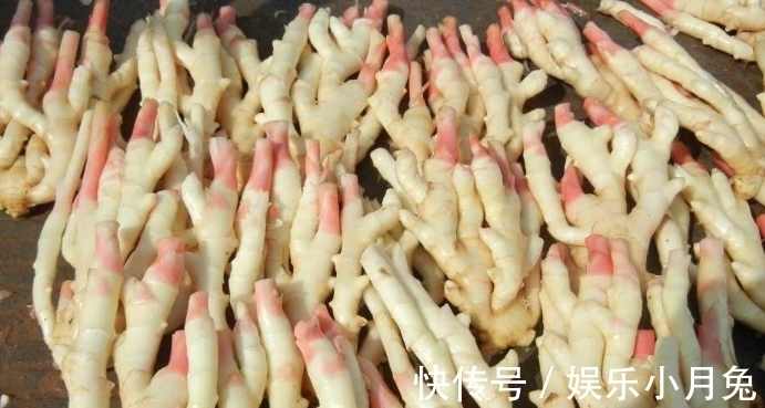 辛辣味|做醋泡姜，不要直接加醋泡，多加“1步”，口感更好保存时间久