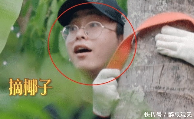 向往的生活何炅阻止彭昱畅上树,听清喊话内容,这才是真正威严