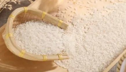 盒饭|餐厅响应节约,盒饭推出“男女版”网友仔细一看,都炸了