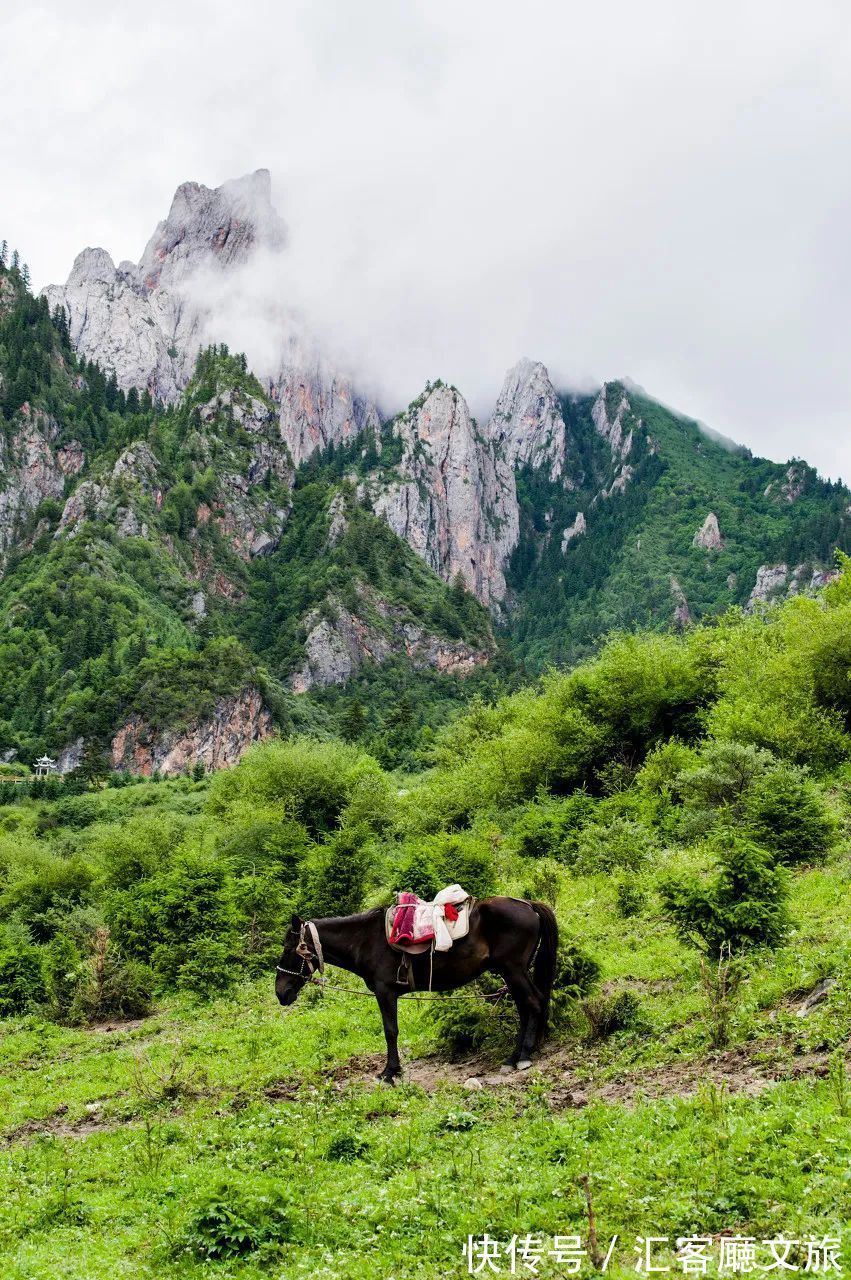 油菜花|静谧纯净、绚丽斑斓，25个七月不该错过的旅行地