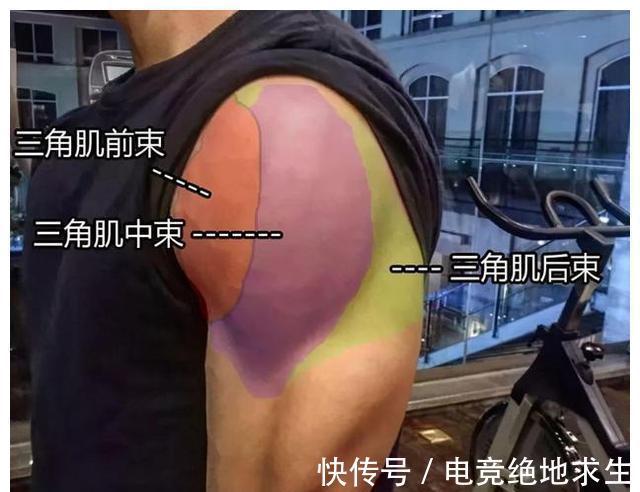 肌肉|肩部和腿部肌肉薄弱,分享1套每周4练计划,让全身肌肉更协调