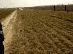 |幽默笑话:现在的小姑娘,人长得不咋地,心肠还不错