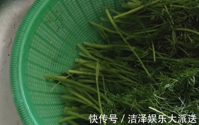 经期|“天然消炎药”，女性没事敞开吃，妇科炎症也许“绕道走”