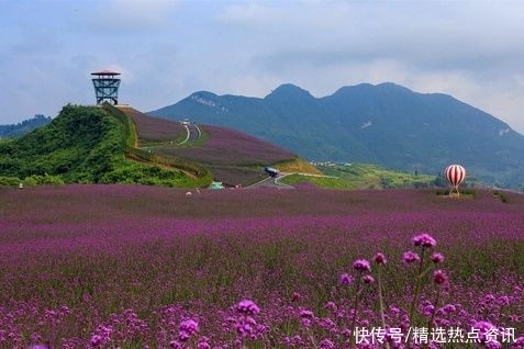 清凉|遵义桐梓向重庆市民发出邀请：来桐梓“爽一夏”