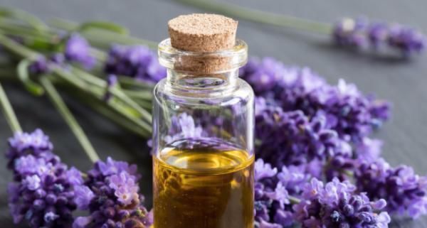 卵巢|据说能帮助女性,抗衰老和延缓绝经期,医生:大多数妇女被骗了!