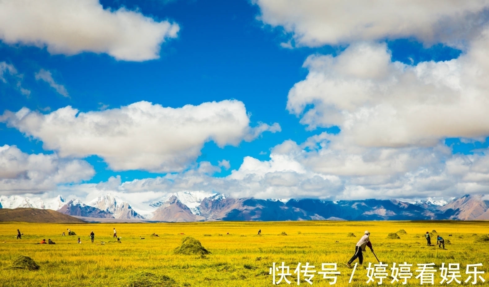 湖岸|佩枯措怎么玩，哪个位置能近距离看湖，又可以看希夏邦马雪山倒影