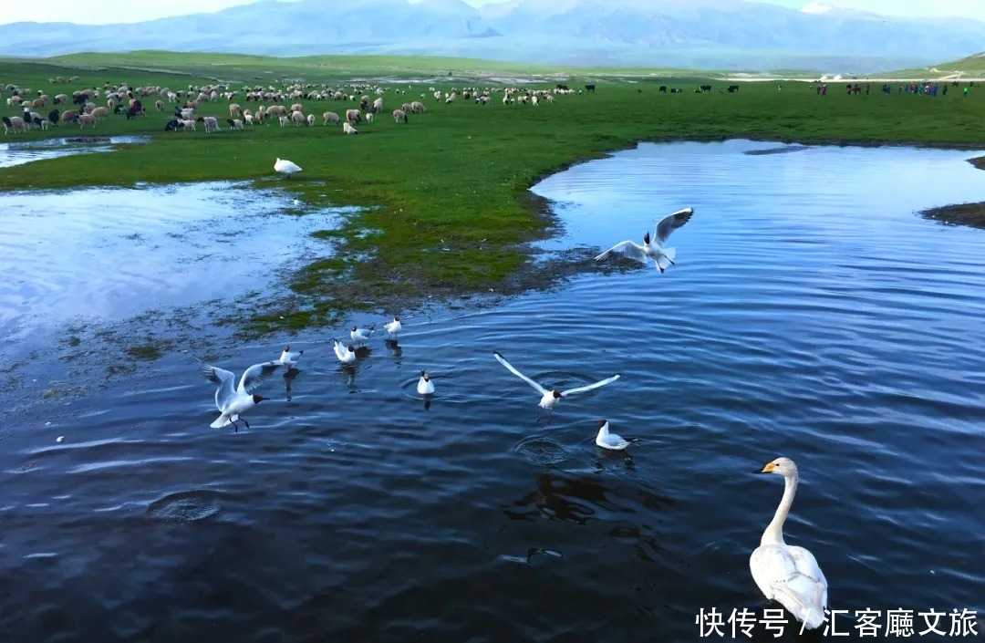 横跨崇山峻岭，穿越深山峡谷，独库公路“纵贯天山的景观大道”