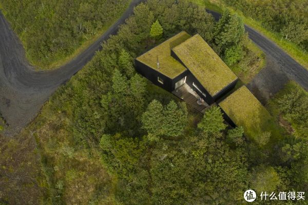 湖面|年薪百万的设计师,让千万豪宅,长满杂草,网友却夸:设计太好了