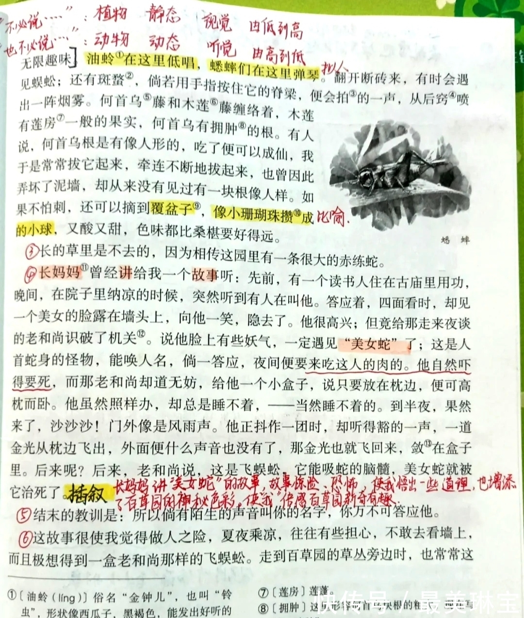 豫才$七年级语文上册第九课《从百草园到三味书屋》课文笔记，预习专用