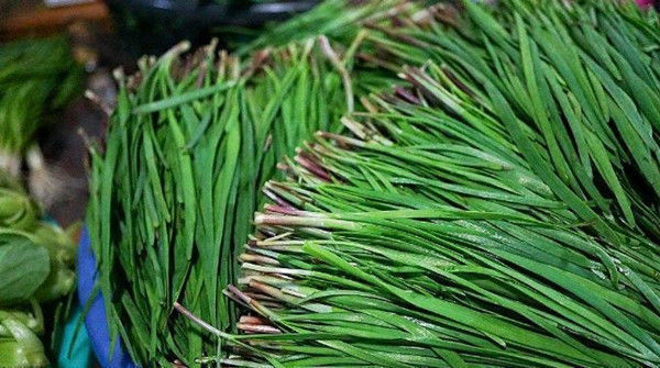 為什么說韭菜盡量少吃,這類人最好是不吃早知早受益!