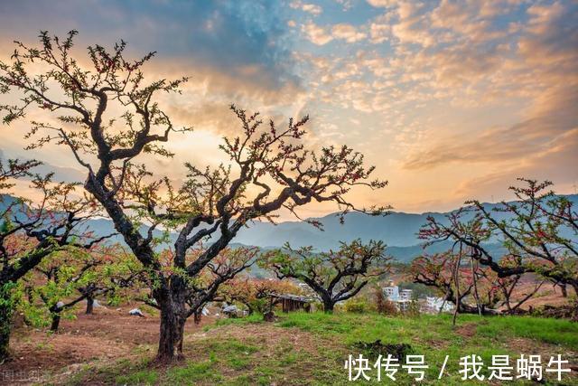 外公|三胎政策放开，看看带娃的主力军是怎么说的，一起来了解一下