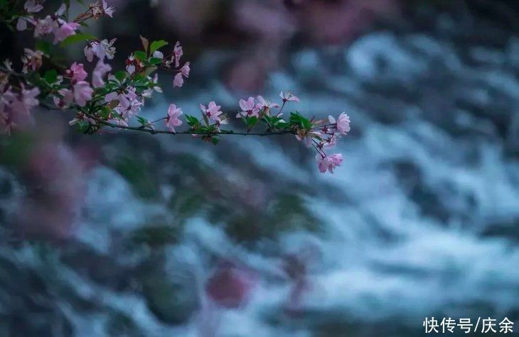 玉楼春·尊前拟把归期说$欧阳修的这首词,寥寥数语,便把离别之情写得扣人心弦