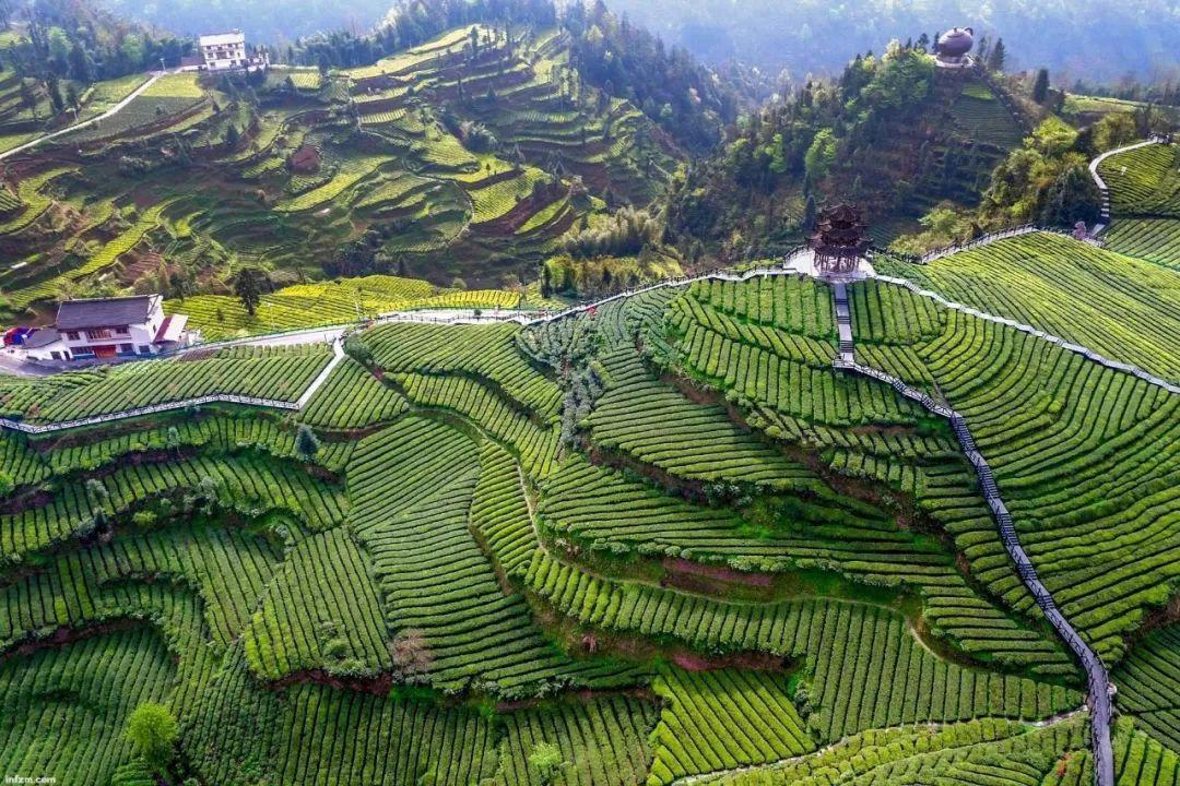 我国最年轻的自治州，风景独特秀美，你知道是哪吗？