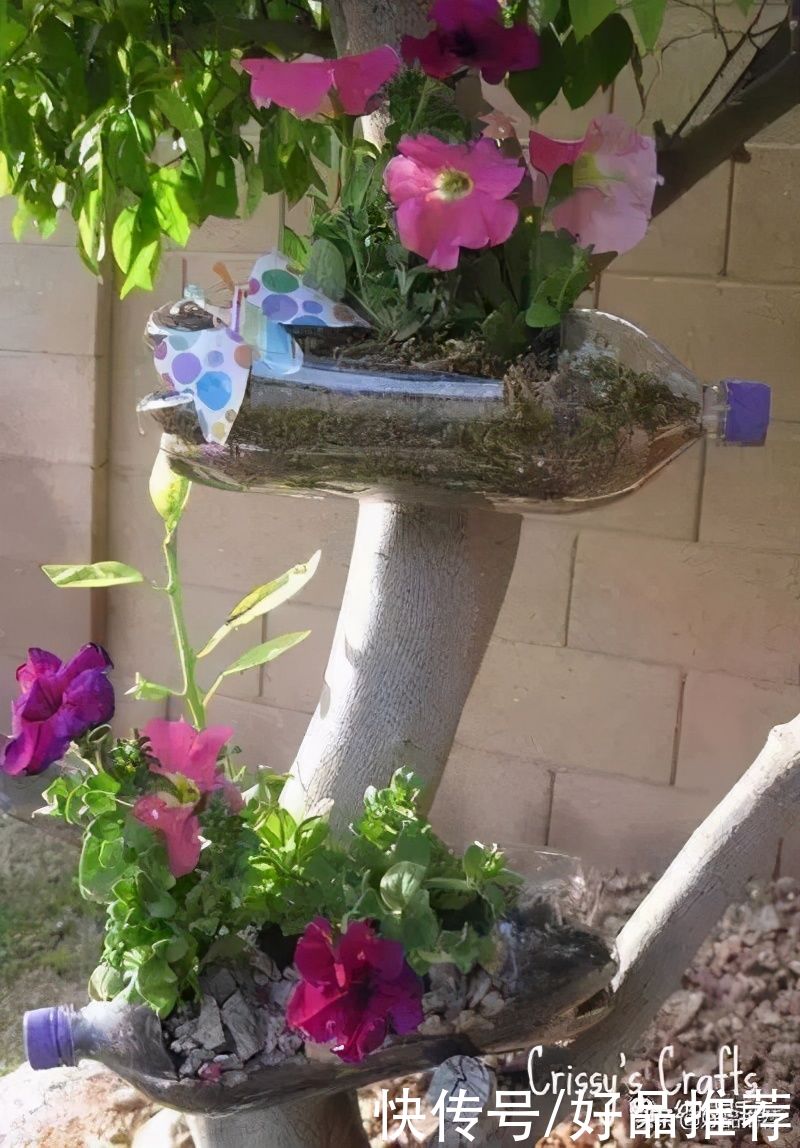  收纳|塑料瓶手工制作 老师们、家长们收藏吧