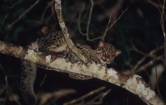 事情 最担心的事情还是发生了！地球警告：保护环境迫在眉睫