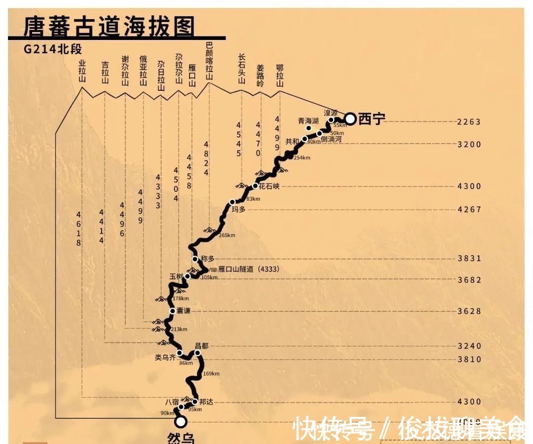 海拔|为什么说高反是纸老虎？ 中国自驾地理