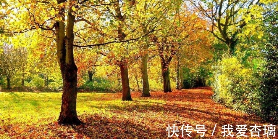 排行榜@写尽人生之愁的诗词,史上10大愁苦诗词排行榜,哪首高居榜首?