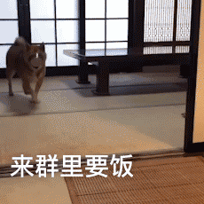 |搞笑图集:你们公司中秋发了啥?网友:发了个通知,说不放假