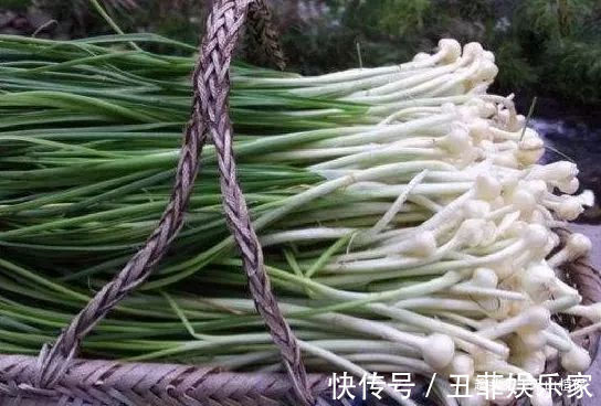 野菜|农村常吃的几种野菜，城里人当“稀罕货”，10元一斤不一定买得到