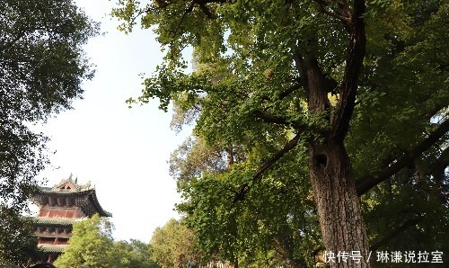 坚持自己的操守,佛在心中,这就是世间法!