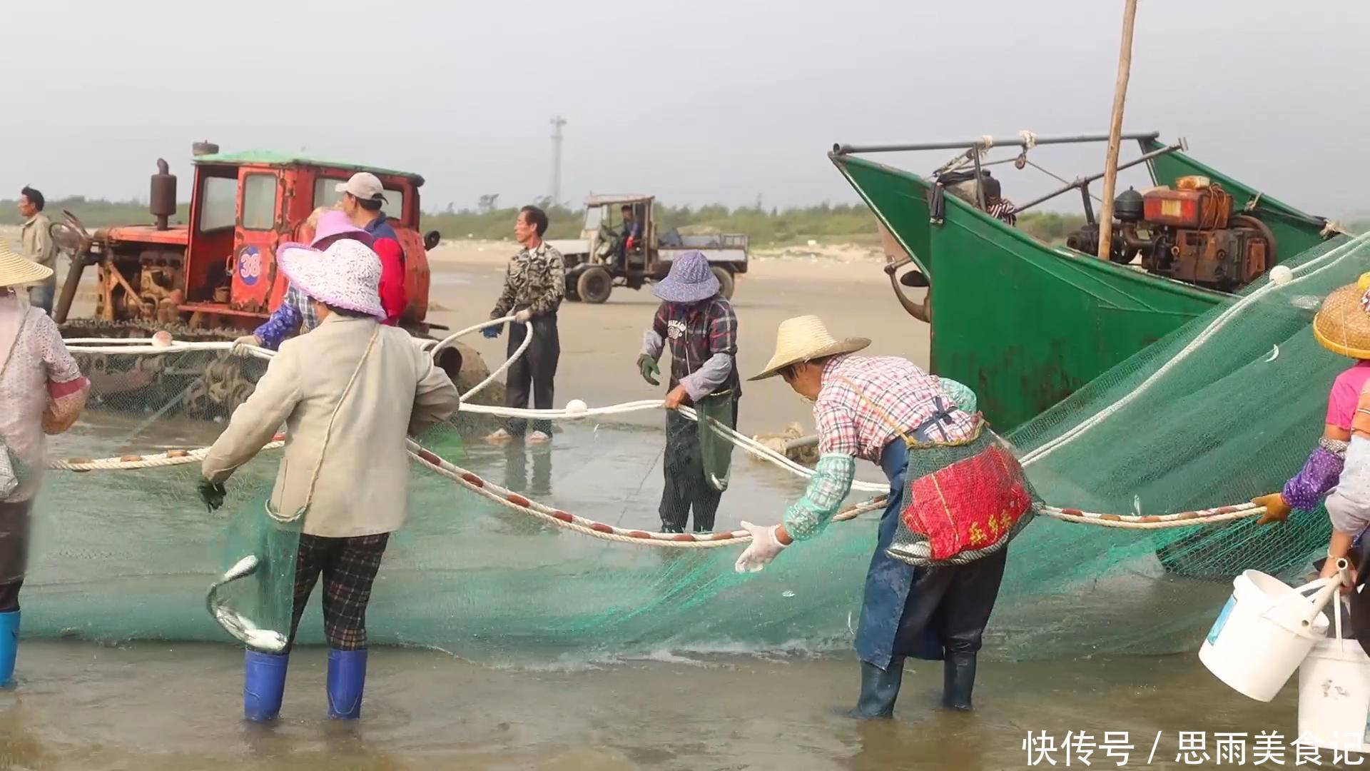 早晨赶海最爽，捡了一大桶海鲜，一顿都吃不完！