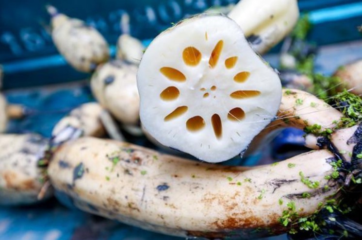 立秋后多吃莲藕,润燥止渴,分享5种家常吃法,好做好吃,快来学