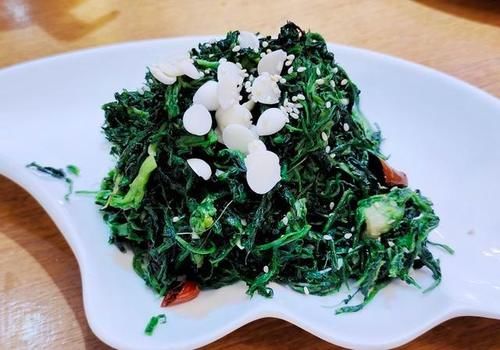 春季吃野菜正当时，这9种野菜，绿色无污染，多吃对身体好！