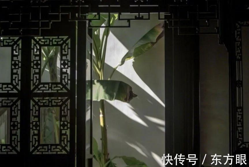 严歌苓&在岁月中修养自己!(深度)