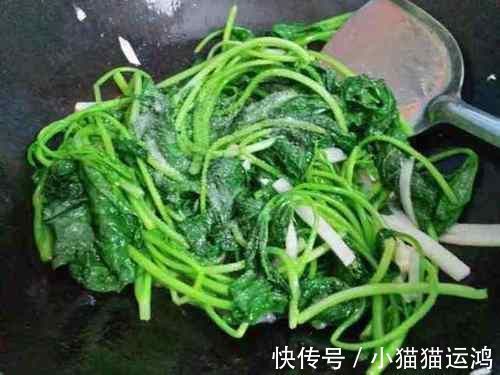 香红薯叶|藏在身边的“长寿菜”,每天炒一盘,视力好了,肠道也通畅了