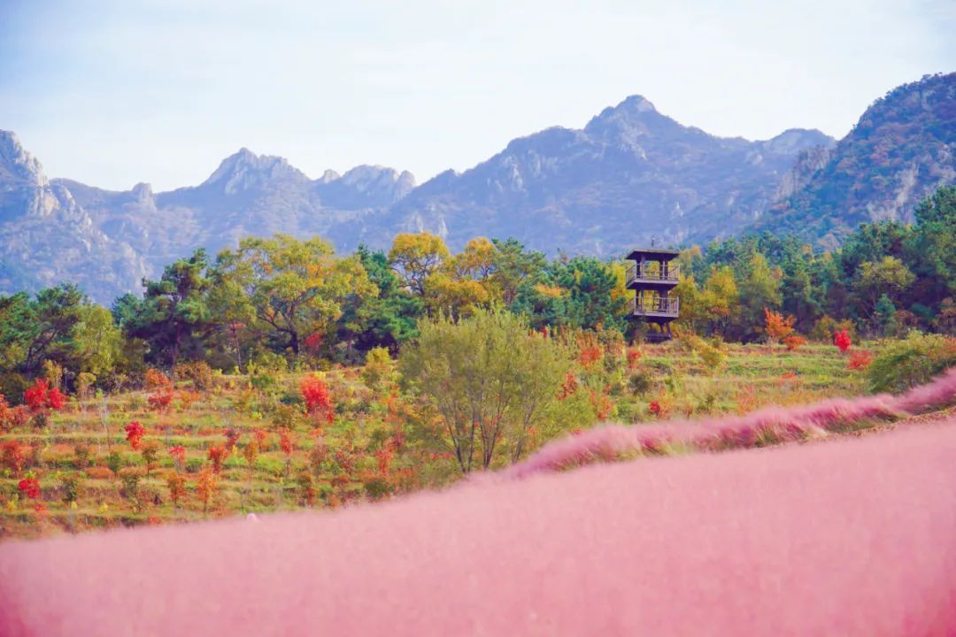 林尽染|号称“海上仙山之祖”的昆嵛山，深秋美得如此动人心魂！