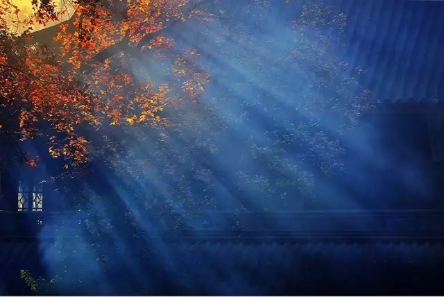 弘一法师|弘一法师:人和人不要靠得太近