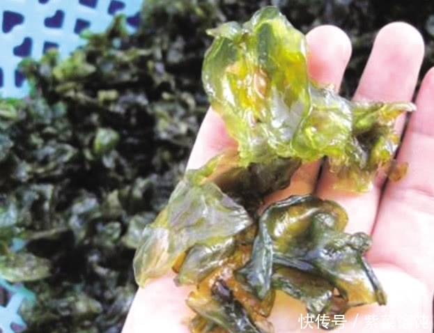 奇效|愛父母就給他們吃這種野菜，雖然難清洗但滋補有奇效，一斤30元