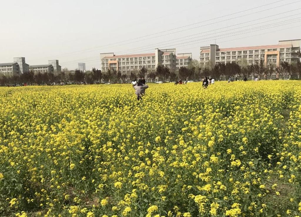 中国高校专利排名出炉，陕西这所四星级大学，成功进入前100名