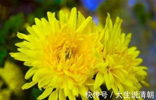 子宫|会吃的人最健康,3种食物离不开,补充营养,有益健康!