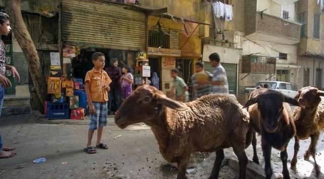 许知远:我对理想主义没有怀疑