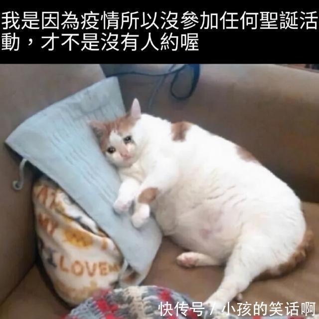 |Merry Christmas 冷段子2022