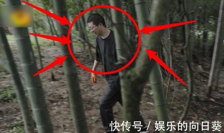 脾氣|《向往5》最懶嘉賓又來了，在節目種樹種到“吐”，脾氣都上來了