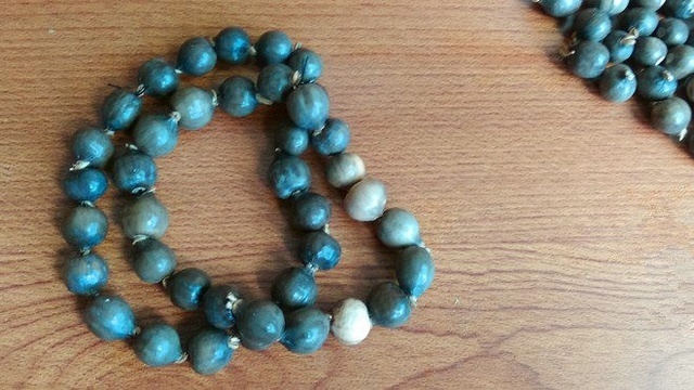 小时候常拿这个植物的果子做手链,到现在我还不知道名字,谁知道