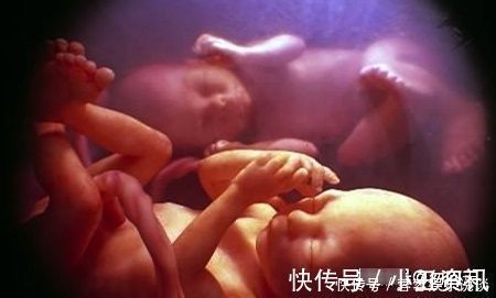 准妈妈|孕期重点补充这三种“营养”, 胎儿和孕妈都会少受罪