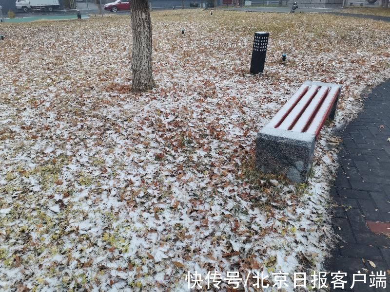 京郊|京郊雪花陆续报到