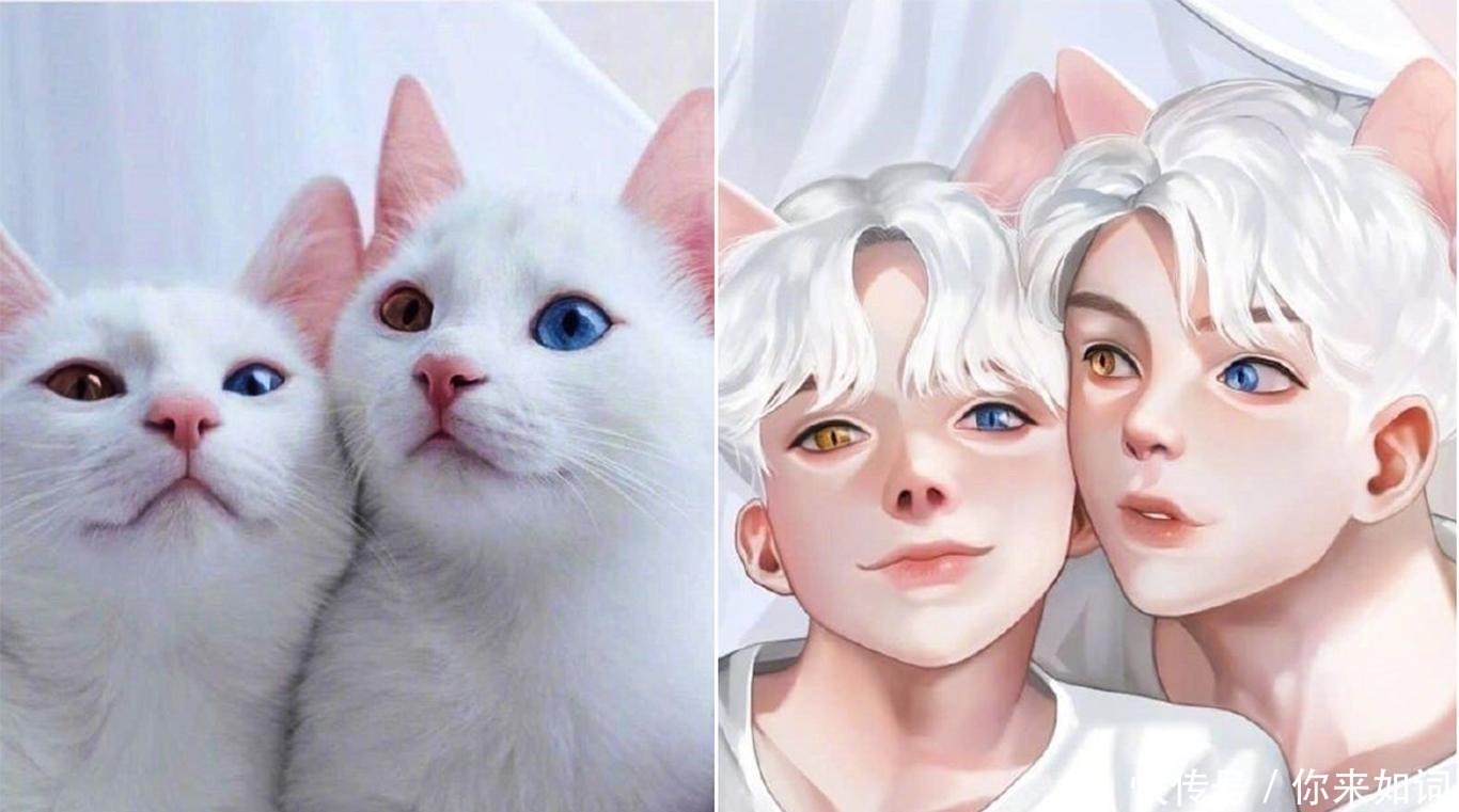 画师们|当动物被画师二次元化,可盐可甜可帅气,还是纸片人更让人心动