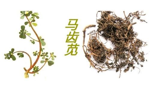 芡实|湿疹反反复复？“1敷、1喝”根治它，简单方便