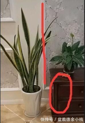 家具|入住新房一年多,具有生活温度的22个装修设计经验