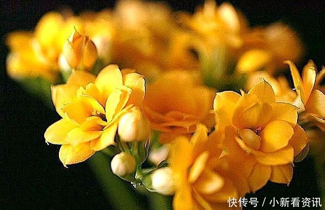 老祖宗|“命自我立,福自我求”记住老祖宗的这几句忠告,福报不请自来