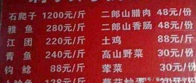 长江源头,绝壁里流出泉水,里面有种野鱼,上千一斤!