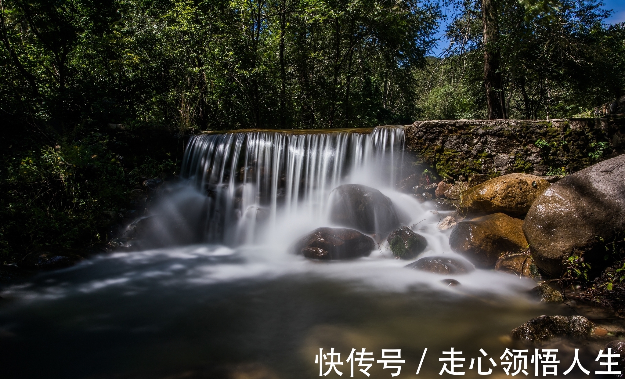 诗人!宋诗精华五首,其中一首是王安石的送别佳作,值得一读